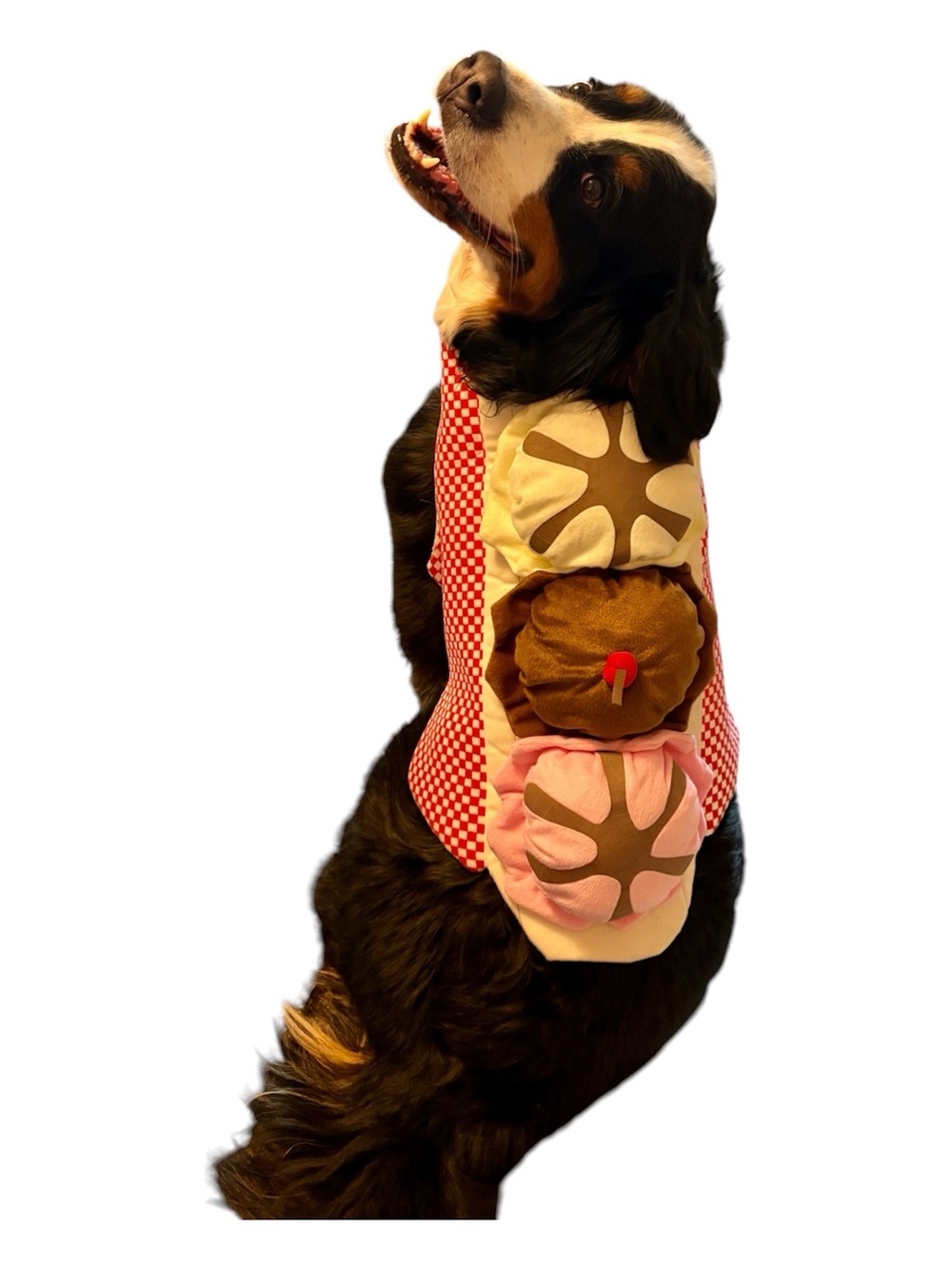 Sweet banana split ice cream sundae dog costume size XL